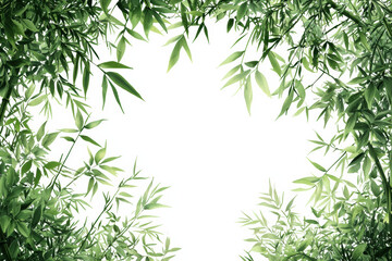 Fototapeta premium Lush green bamboo leaves frame bright, empty space, creating serene atmosphere