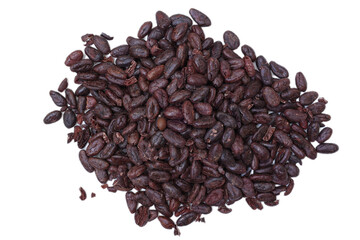 cocoa beans isolated 