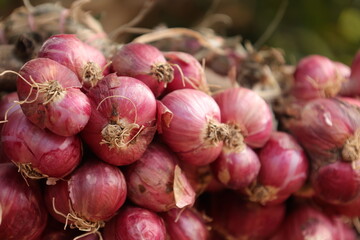 red onions on market