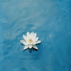 Flower fall in to water and make some ripple, version 6