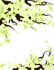 Spring Sakura Frame Transparent Background, Cherry Blossom Border Illustration.