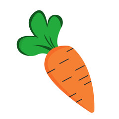 Flat graphic of an orange carrot with green leaves on a white background. Concept of vegetables and healthy eating