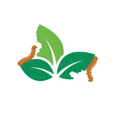 leaf eaten by caterpillars icon  of pest control  vector element