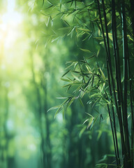 Bamboo Forest: Tranquil Green Serenity