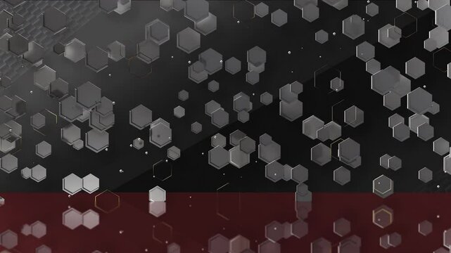 オクタゴンCG_Anotherパターン01_黒赤