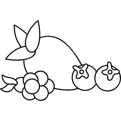 Berries Icon