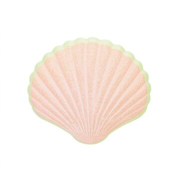 Shell seashell clam white background.