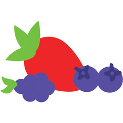 Berries Illustration