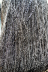 close up of woman's grey hair, hair texture background, hair care