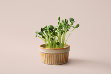 Bowl with fresh micro green sprouts on color background