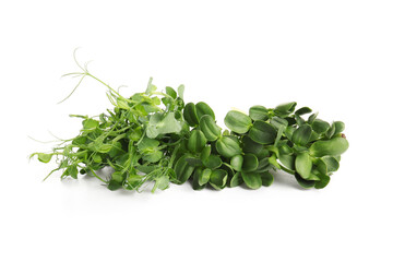 Obraz premium Heap of fresh micro green isolated on white background