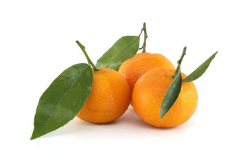 Fresh and Juicy Mandarins with Green Leaves
