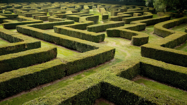 green hedge maze garden grass pattern wallpaper background design  - Powered by Adobe