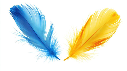 Obraz premium Blue and yellow feathers isolated on white background
