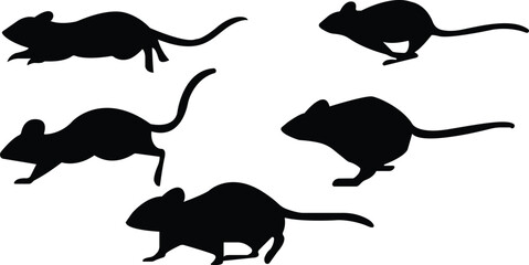 Mouse jumping and running vector 