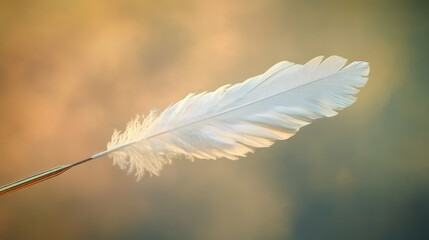 Delicate White Feather Against Soft Background