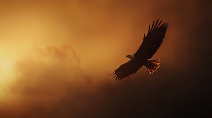 Obraz premium Bald Eagle in Flight at Dusk