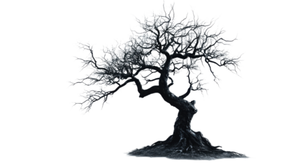 Creepy tree isolated on white background 