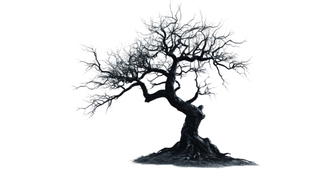 Creepy tree isolated on white background 