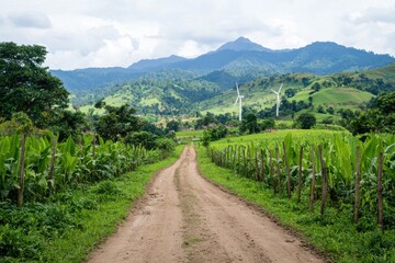 Scenic wind farm landscape rural road nature photography green hills serene environment panoramic view
