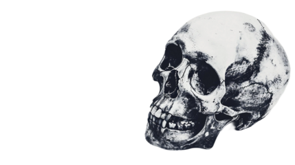 Sentinel Skull on white background PNG.