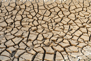 Brown dry soil or desert cracked ground texture background