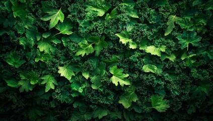 A lush green plant with leaves that are green and leafy