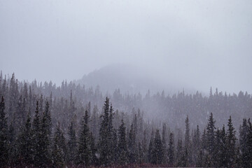 Fog covering mountains and trees on a snowy autumn day along the Alaska Canada Highway in Canada.