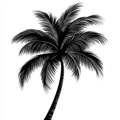 Majestic Palm Tree Silhouette
