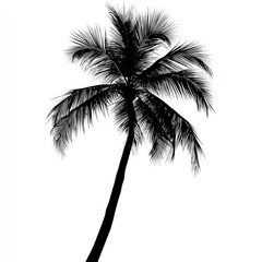 Obraz premium Majestic Palm Tree Silhouette