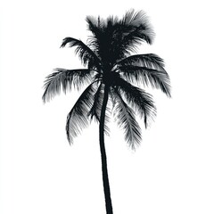 Majestic Palm Tree Silhouette