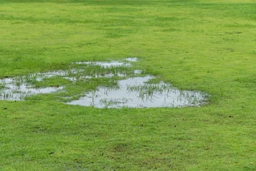 Gardinen Grass died becauseYard Drainage Problems and Waterlogged lawns. © toa555