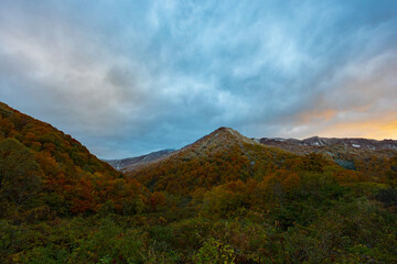 雨飾　紅葉に雪