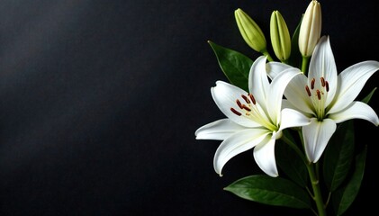 Fototapeta premium White lily arrangement on black table background with empty space, white flowers, decor