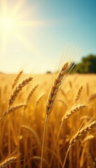 Softly swaying wheat stalks amidst a sea of golden wheat fields under a radiant summer sky, nature, sunny
