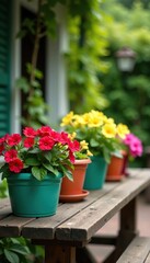 Obraz premium Lush flowers in colorful planters on a patio table, greenery, flowers,