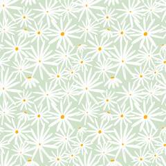 Seamless Pattern of White Daisy Flowers on a Light Green Background