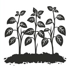 Obraz premium Silhouette of Growing Plants