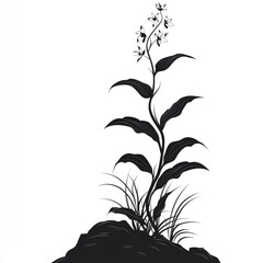 Silhouette Plant Design