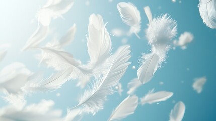 White feathers floating on a light blue background, illuminated by sunlight.