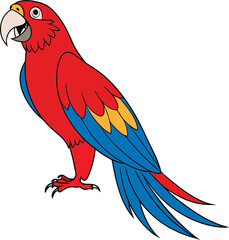 Beautiful Cartoon Parrot