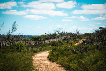 A nature refuge, bordered by dramatic cliffs, North Head Sanctuary, Manly, is located on the...