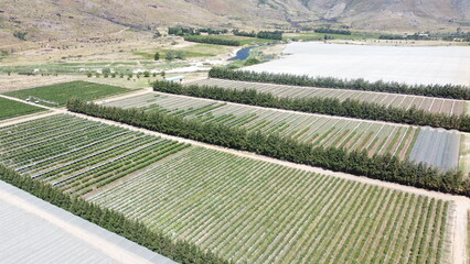 Aerial view of big vineyards covered in agricultural shade nets perfect for illustrating...