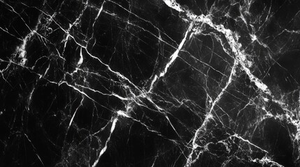 Elegant Black Marble with White Veins Texture