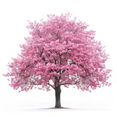 Fototapeta premium Beautiful pink blossoming tree