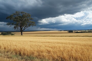 Fototapeta premium Lone Tree in Golden Wheat Field Under Storm Clouds
