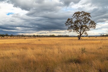 Lone Tree in Golden Grassland Under Storm Clouds
