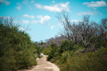A nature refuge, bordered by dramatic cliffs, North Head Sanctuary, Manly, is located on the peninsula at the northern entrance to Sydney Harbour.