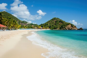 Serene Beach with Palm Trees and Blue Sky