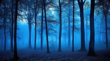 Fototapeta premium Serene Foggy Forest with Tall Trees in Blue Tones